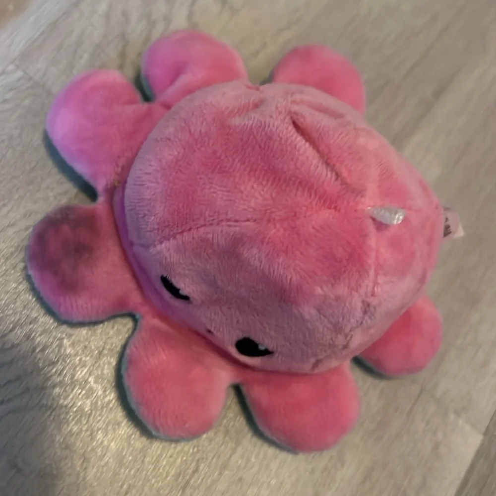 Octopus - Picture 3 of 3